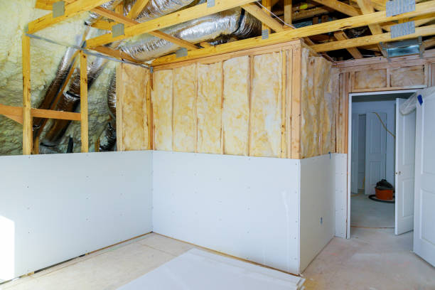 Best Wall Insulation Contractor  in Frankston, TX