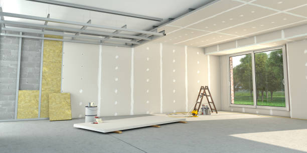 Best Professional Insulation Contractor  in Frankston, TX