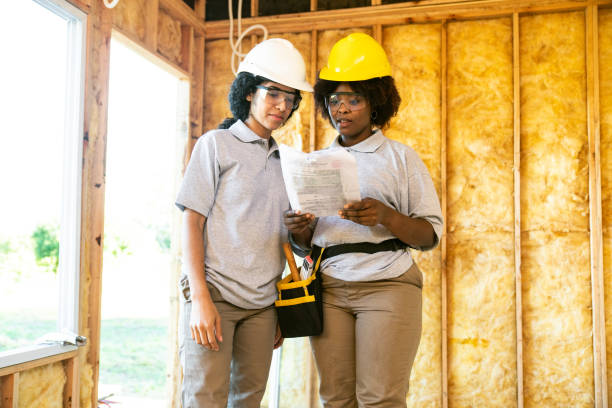 Best Home Insulation Services  in Frankston, TX