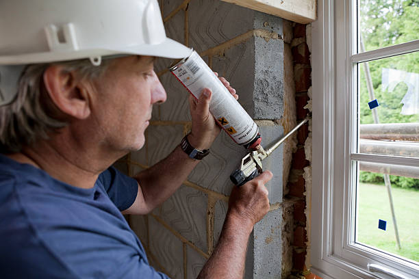 Best Professional Insulation Contractor  in Frankston, TX