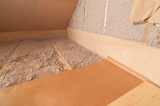 Best Insulation Removal  in Frankston, TX