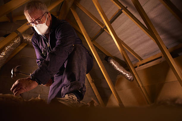 Best Garage Insulation Installation  in Frankston, TX