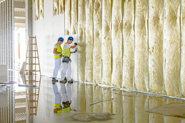Best Spray Foam Insulation  in Frankston, TX